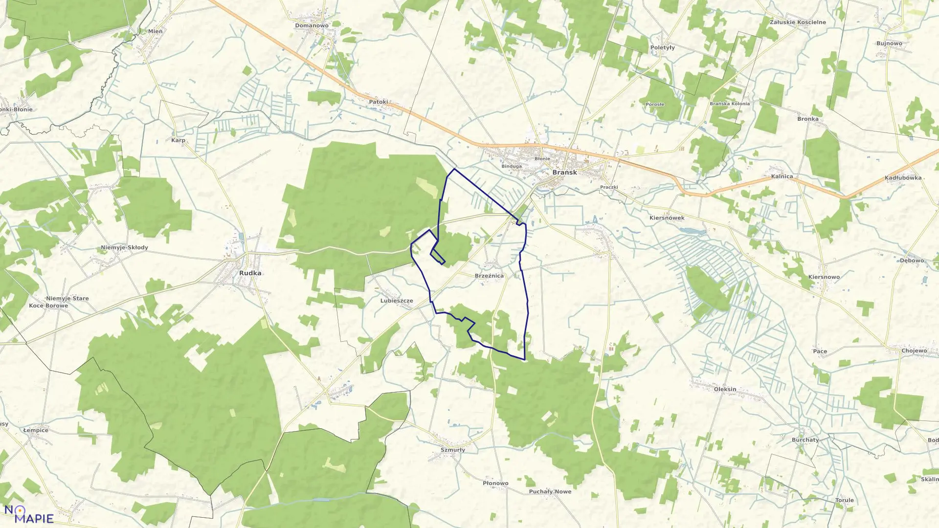 Mapa obrębu BRZEŹNICA w gminie Brańsk